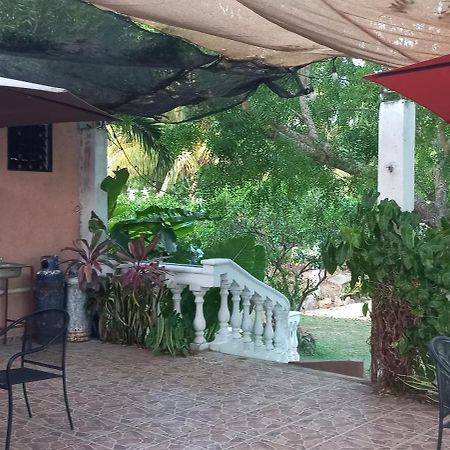 Villa Lirios Valladolid  Zewnętrze zdjęcie